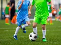 杨洪波,云南省人民,政府参事,星空,星空体育,XingKong,星空体育官网