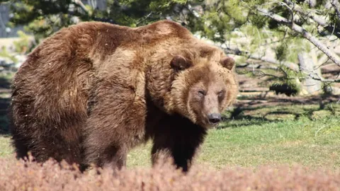 《孔帕尼洞察力惊人！安德莱赫特教头揭秘：德卡特动向心知肚明，无需多言》