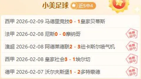 热刺冬窗引援目标锁定费莱尼，管理层已批准